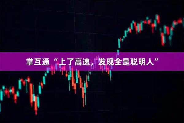 掌互通 “上了高速，发现全是聪明人”